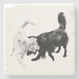 Posavasos De Piedra Motion Between Friends