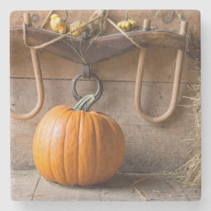 Posavasos De Piedra Museo de los Granjeros. Calabaza en granero con fa