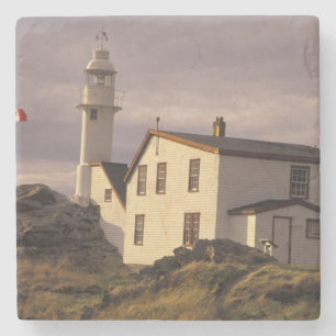 Posavasos De Piedra NA, Canadá, Terranova, Lobster Cove. Lobo