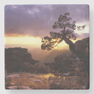 Posavasos De Piedra NA, EE. UU., Arizona, Tucson, Atardecer y solitari