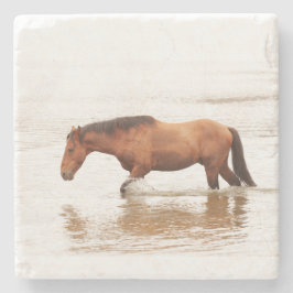 Posavasos De Piedra Nado matutino para un caballo