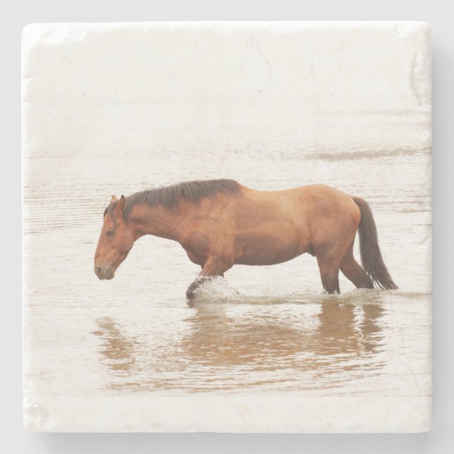 Posavasos De Piedra Nado matutino para un caballo (Anverso)