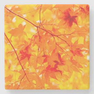 Posavasos De Piedra Naranja de la Naturaleza de las hojas de otoño