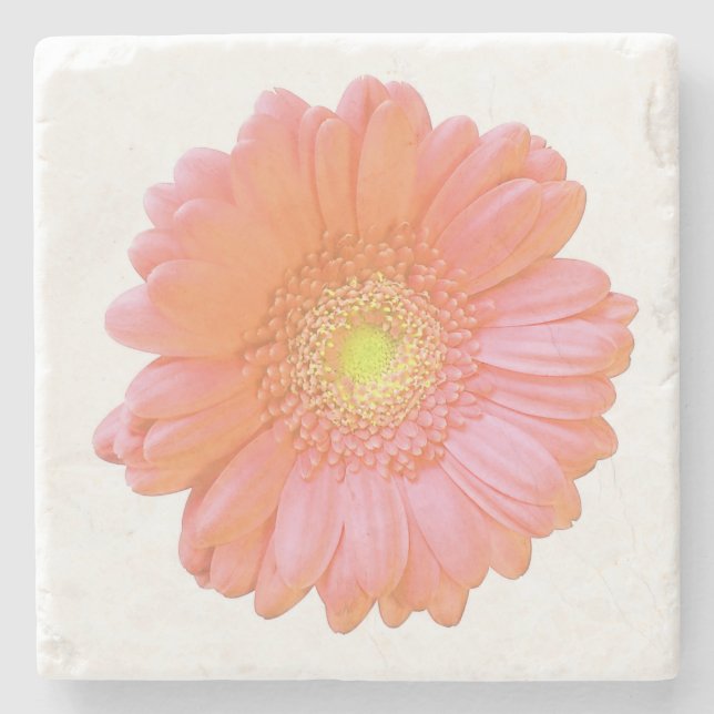 Posavasos De Piedra Naranja gerbera daisy (Anverso)