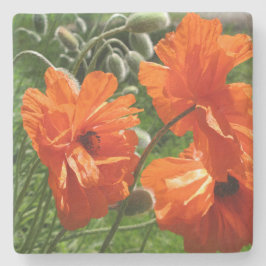 Posavasos De Piedra Naranja Harvest Moon Oriental Poppies