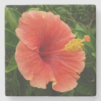 Posavasos De Piedra Naranja Hibiscus Flower Tropical Floral