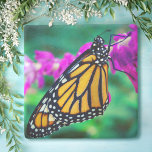 Posavasos De Piedra Naranja monarca foto mariposa flor púrpura negrita<br><div class="desc">Foto de primer plano de una mariposa delicada, naranja y negra monarca sobre una flor magenta brillante. Explore los pensamientos de los días cálidos y soleados mientras se relaja con su bebida favorita mientras utiliza esta impresionante y colorida montaña de piedra fotográfica. Hace un gran regalo para alguien especial! Puede...</div>
