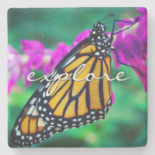 Posavasos De Piedra Naranja Monarch Mariposa Explorar Script Moderno