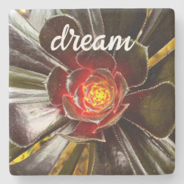 Posavasos De Piedra Naranja negro Cactus Succulum Photo Dream Script