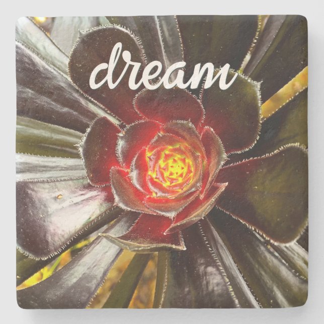 Posavasos De Piedra Naranja negro Cactus Succulum Photo Dream Script (Anverso)
