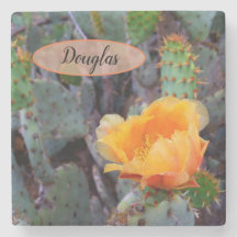 Naranja Pricky Pear Opuntia Cactus Flower Photo