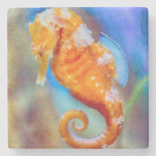 Posavasos De Piedra Naranja Seahorse deleite