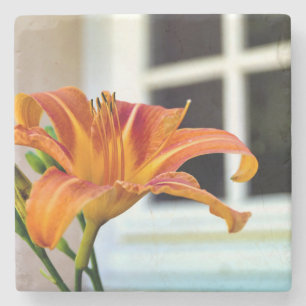 Posavasos De Piedra Naranja Tiger Lily