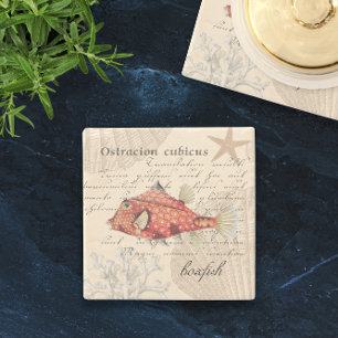 Posavasos De Piedra 🐠 Naranja Vintage Ilustracion Boxfish Náutico