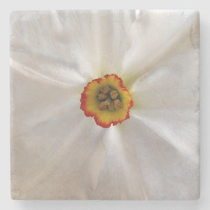 Posavasos De Piedra narciso blanco perla