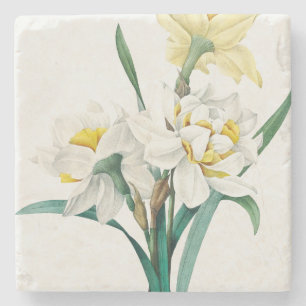 Posavasos De Piedra Narciso doble, Pierre-Joseph Redouté, 1827