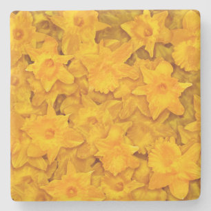 Posavasos De Piedra Narcissus Flowers