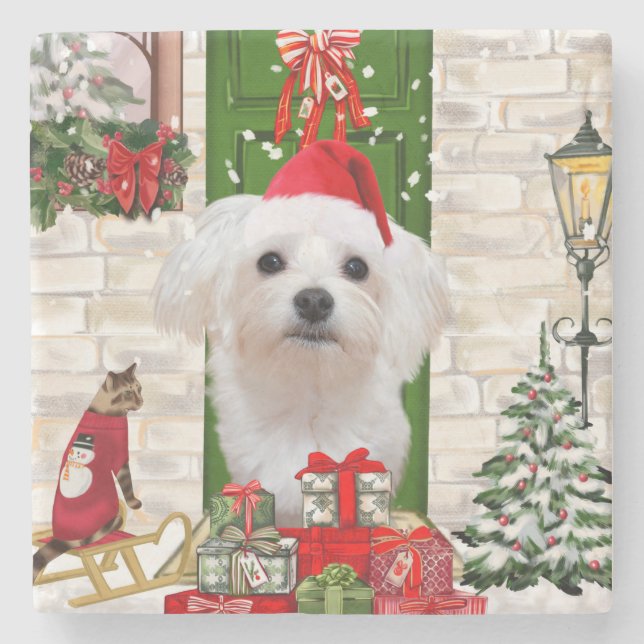 Posavasos De Piedra Navidades de perros malteses (Anverso)