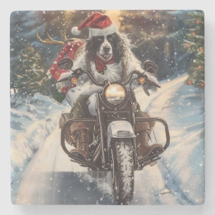 Posavasos De Piedra Navidades en motocicleta de la equitación del perr