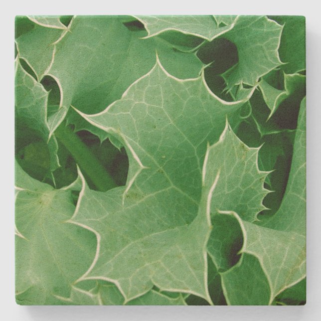 Posavasos De Piedra Navidades verdes Holly (Anverso)