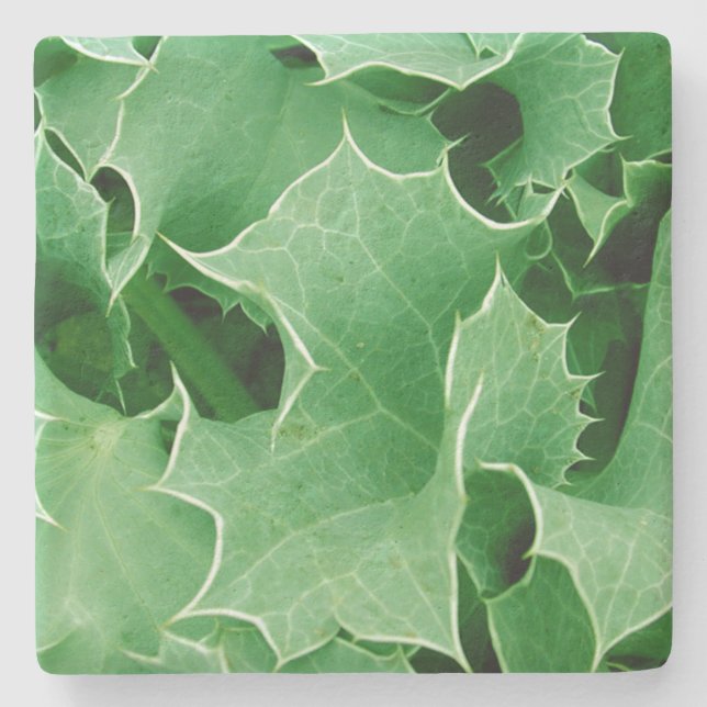 Posavasos De Piedra Navidades verdes Holly (Anverso)