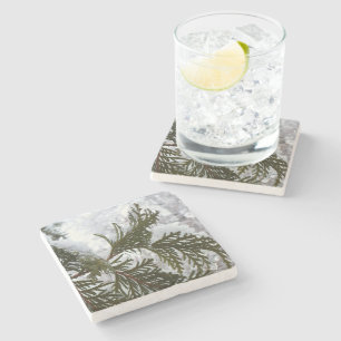 Posavasos De Piedra Nieve en ramas verdes