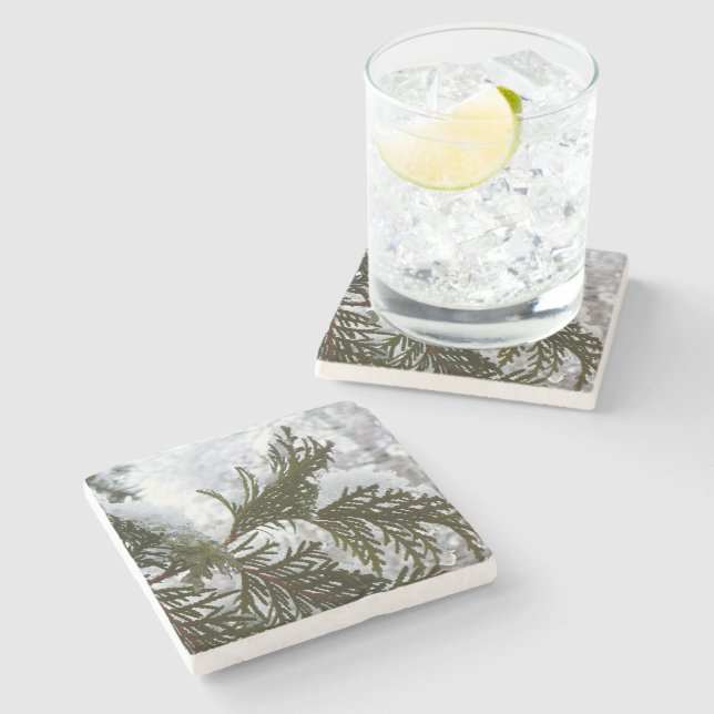 Posavasos De Piedra Nieve en ramas verdes (Lateral)