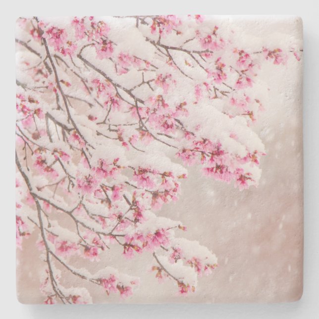 Posavasos De Piedra Nieve sobre flores de cerezo de 4" x 4" (Anverso)