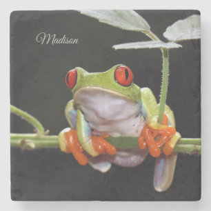 Posavasos De Piedra Nombre personalizado Frog