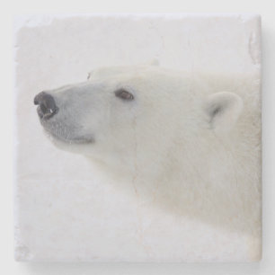 Posavasos De Piedra Norteamérica, Canadá, Manitoba, Churchill. 6