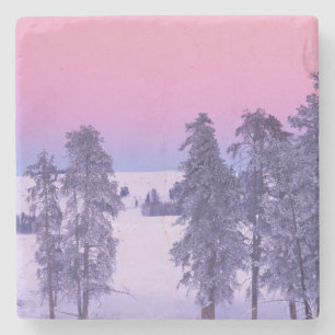 Posavasos De Piedra Norteamérica, EE. UU., Montana, Yellowstone