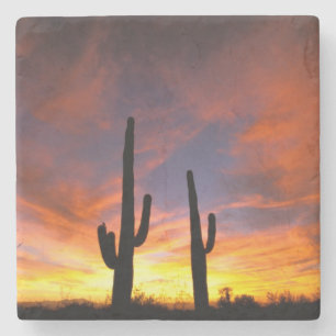 Posavasos De Piedra Norteamérica, Estados Unidos, Arizona, desierto d