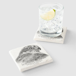 Posavasos De Piedra Northern Goshawk