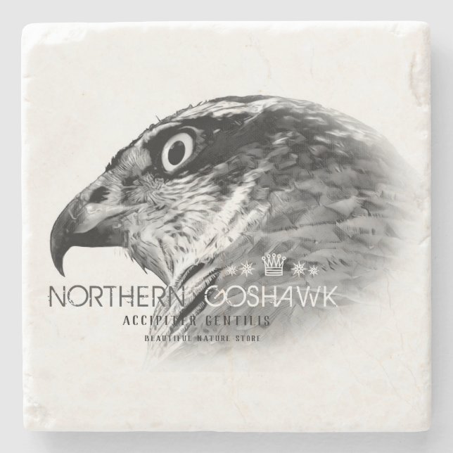 Posavasos De Piedra Northern Goshawk (Anverso)