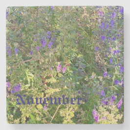 POSAVASOS DE PIEDRA NOVIEMBRE