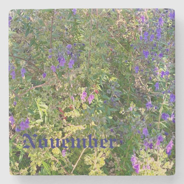 POSAVASOS DE PIEDRA NOVIEMBRE (Anverso)