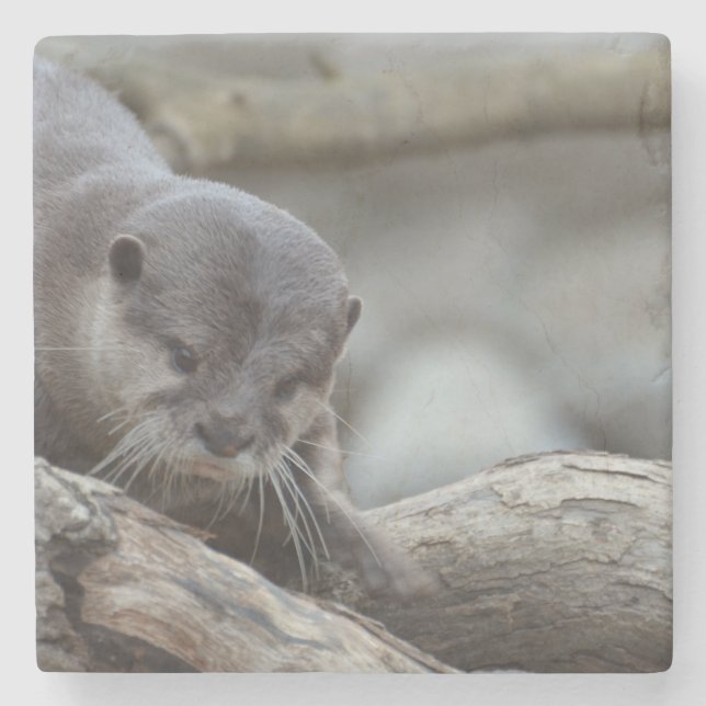 Posavasos De Piedra Nutria adorable (Anverso)