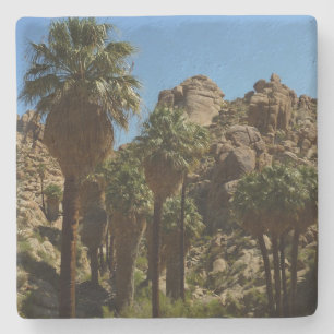 Posavasos De Piedra Oasis Lost Palms I en el Parque Nacional Joshua Tr