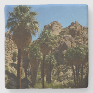 Posavasos De Piedra Oasis Lost Palms I en el Parque Nacional Joshua Tr