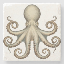 Posavasos De Piedra Octopus scientific diagram unique artwork retro 