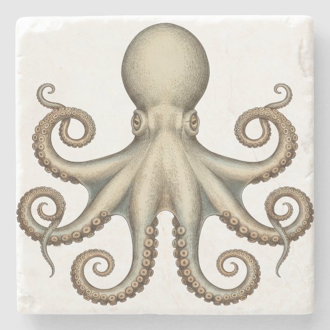 Posavasos De Piedra Octopus scientific diagram unique artwork retro  (Anverso)