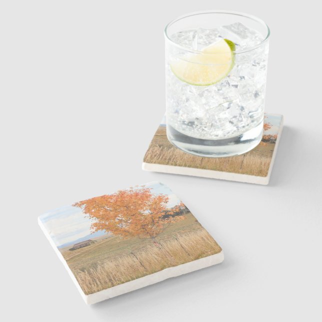 Posavasos De Piedra Octubre Brillante  (Lateral)
