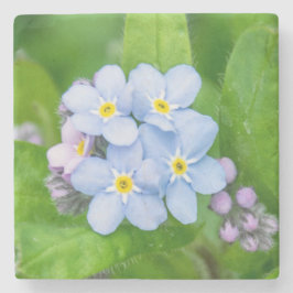 Posavasos De Piedra Olvídenme, escaparate de piedra