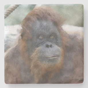 Posavasos De Piedra Orang acuarela