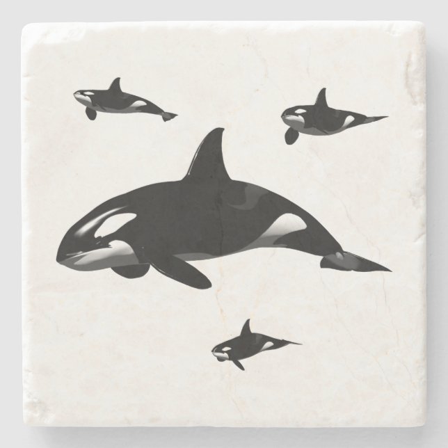 Posavasos De Piedra Orca (Anverso)