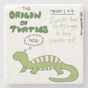 Posavasos De Piedra Origen de la teoría de las tortugas 1