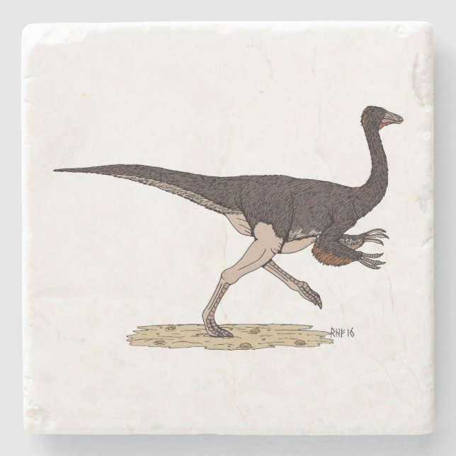 Posavasos De Piedra Ornithomimus cretácico (Anverso)