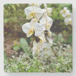 Posavasos De Piedra Orquídea Blanca