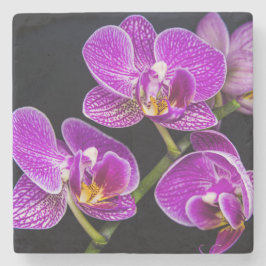 Posavasos De Piedra Orquídea púrpura