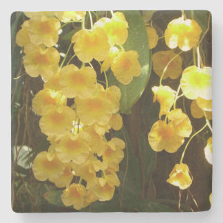 Posavasos De Piedra Orquídeas Amarillas colgando flores tropicales